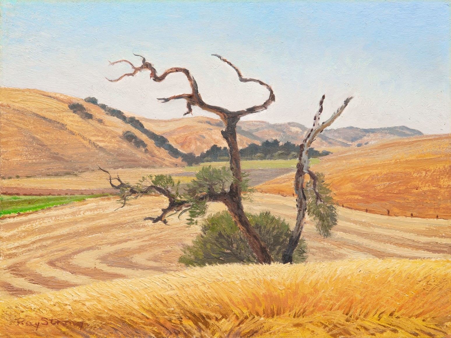 Ray Strong (1905-2006), Summer Sketch - Foxen Canyon, c. 1970