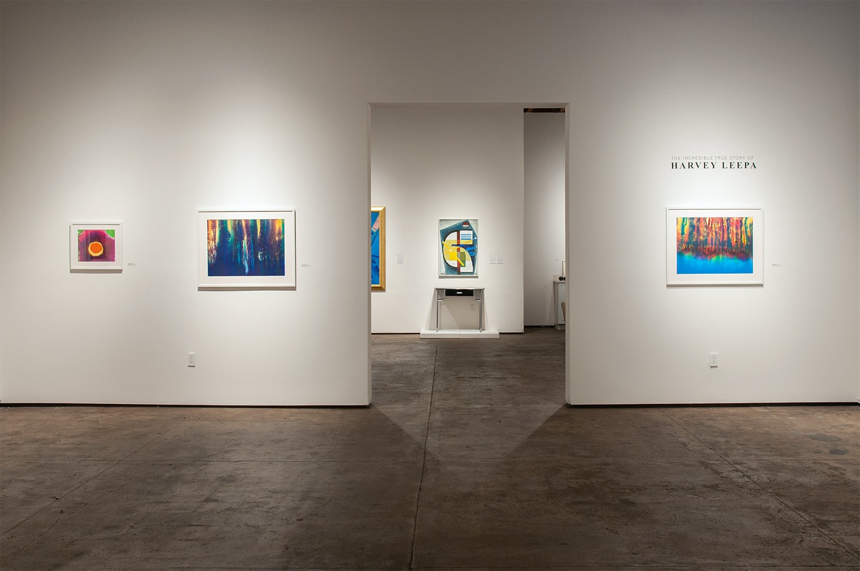 Installation photograph of THE INCREDIBLE TRUE STORY OF HARVEY LEEPA