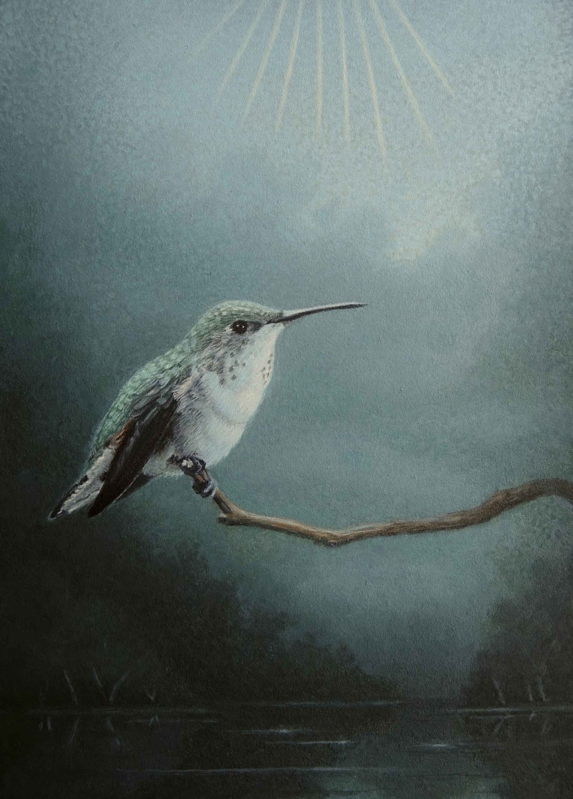 SUSAN MCDONNELL , Little Bird, 2023