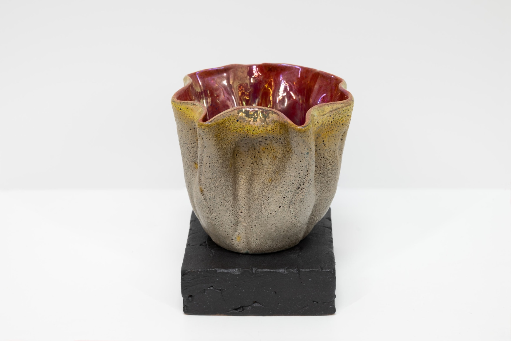 JAMES HAGGERTY, Flor Rubra #9, 2025