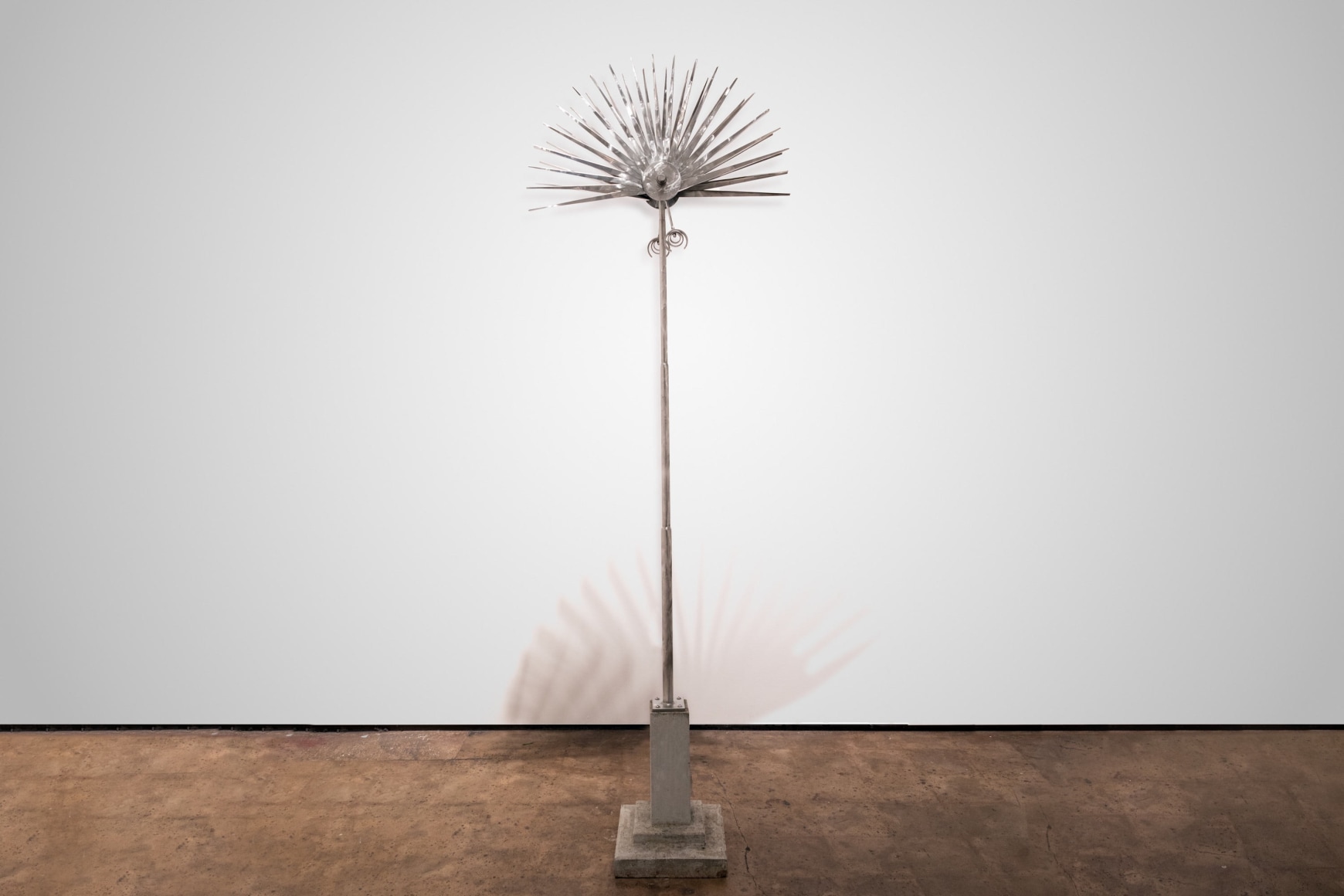 KEN BORTOLAZZO, Estacas, 2010