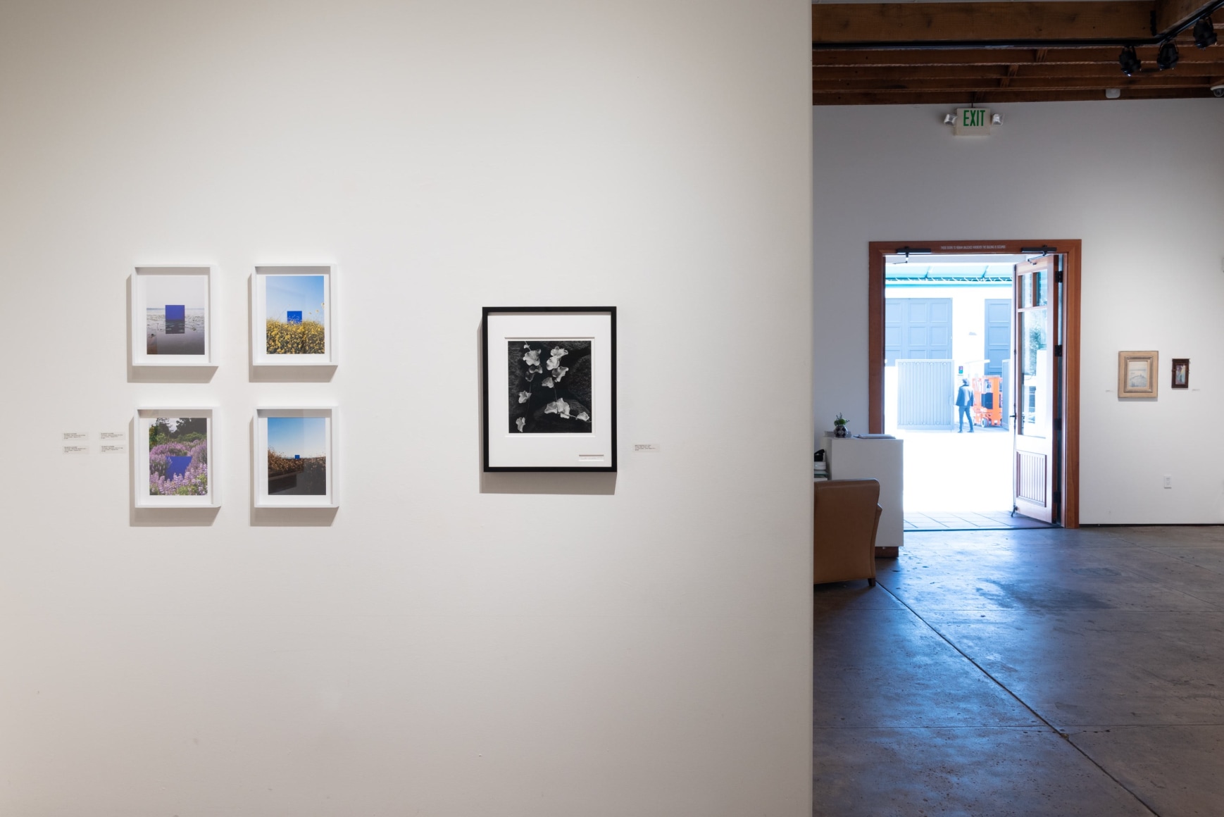 Installation photograph of IRRESISTIBLE: Flowers &amp; Their Admirers, Blakeney Sanford &amp; Brett Weston