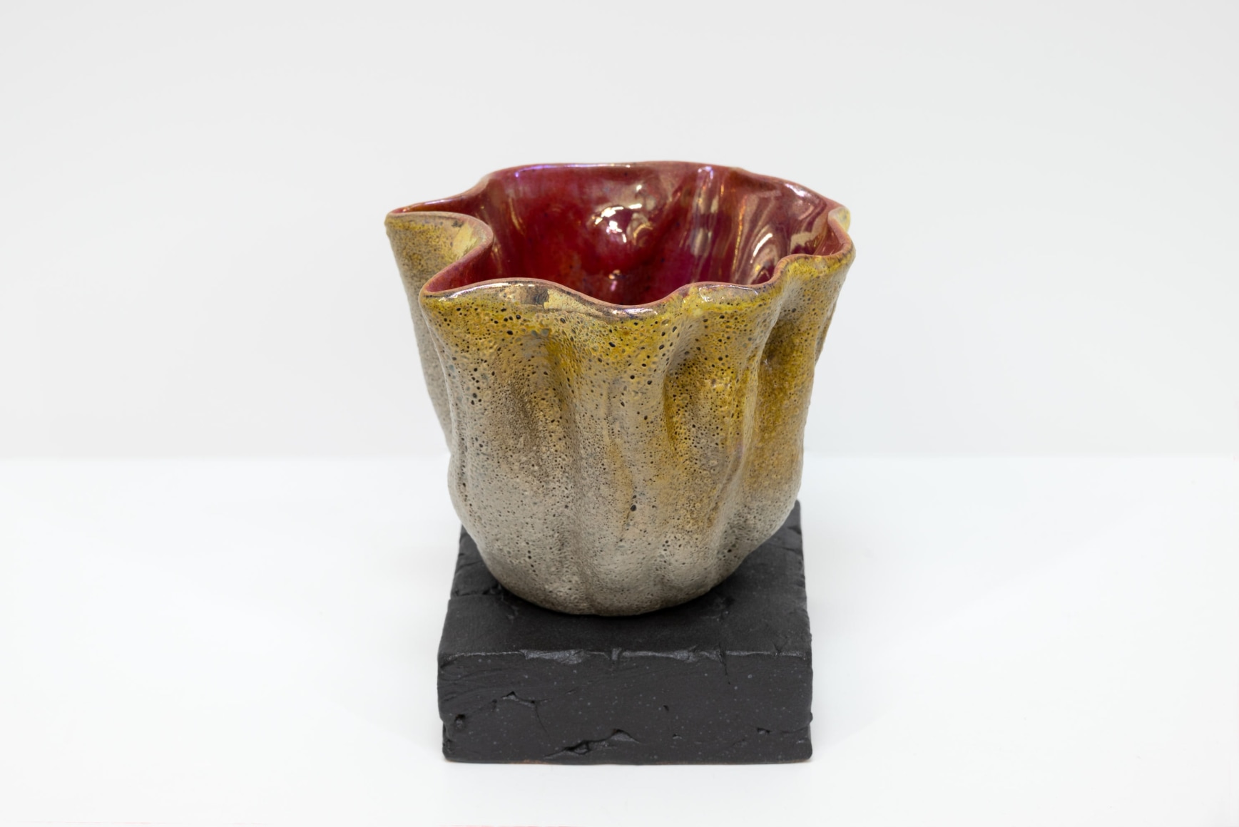 JAMES HAGGERTY, Flor Rubra #9, 2025