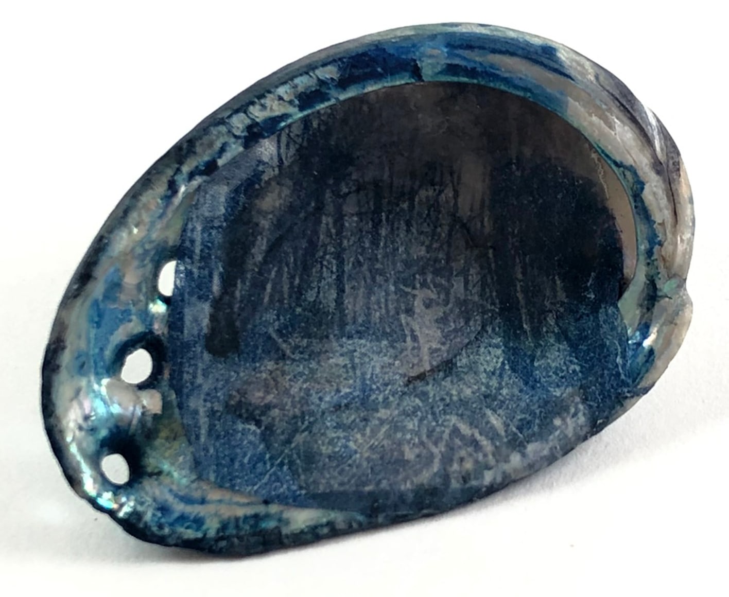 MONICA WIESBLOTT , Dreams of the Abalone, 2025