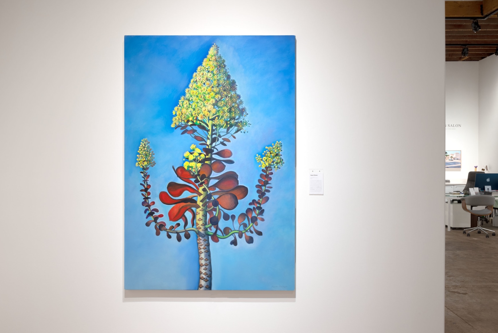 Wonderland 2024 Installation shot