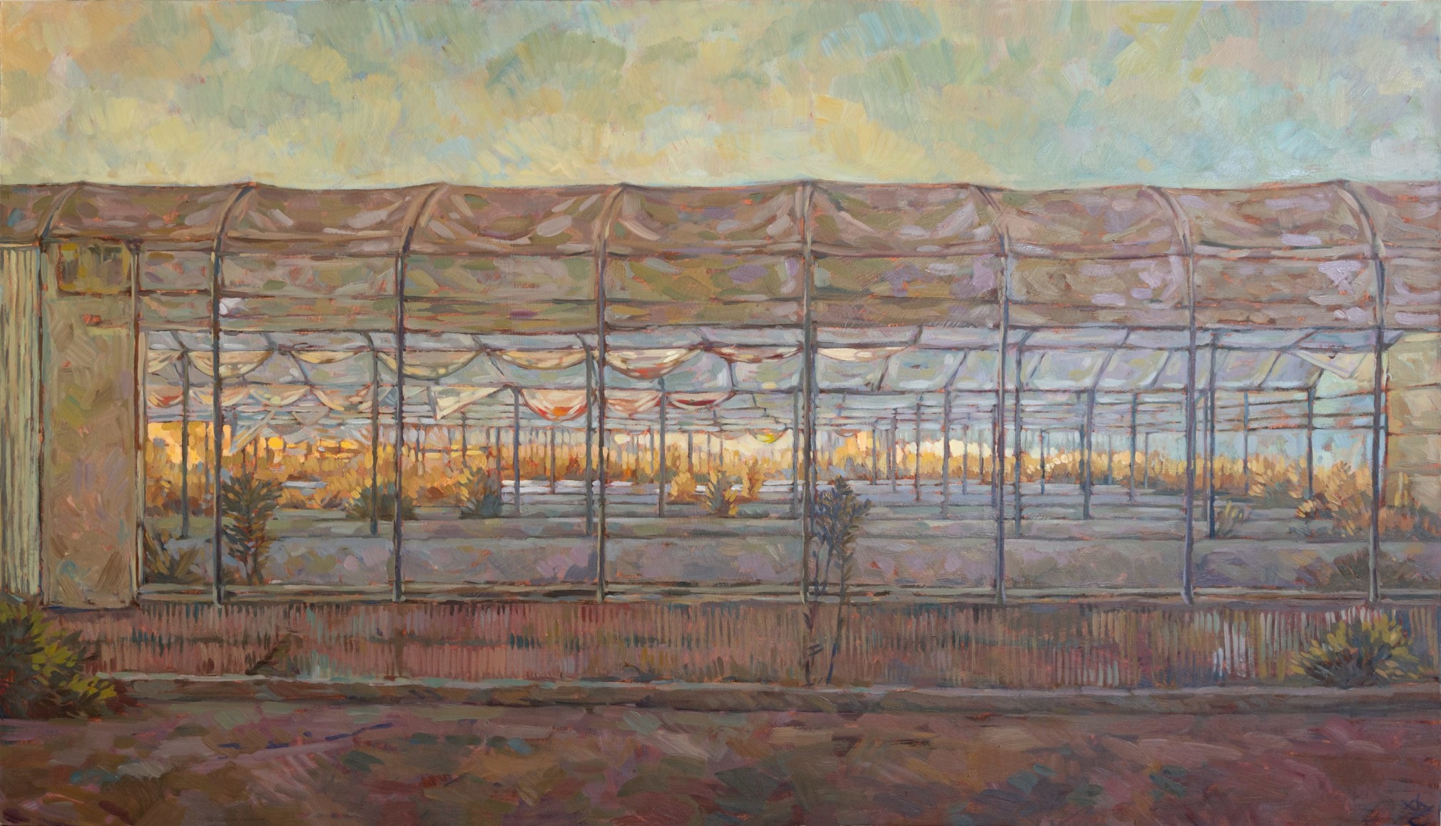 WHITNEY BROOKS ABBOTT , Greenhouse, Sunrise, 2023