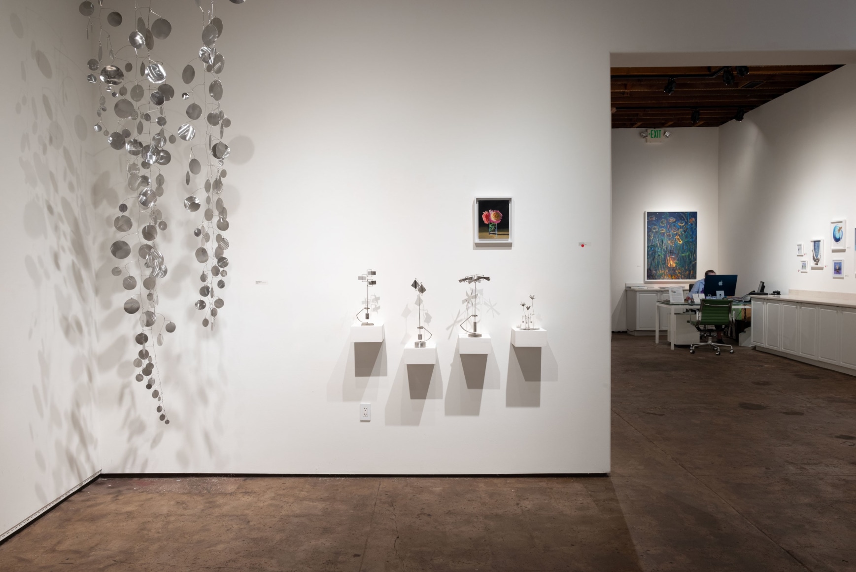 Installation photograph of IRRESISTIBLE: Flowers &amp; Their Admirers, Ken Bortolazzo &amp; Hank Pitcher