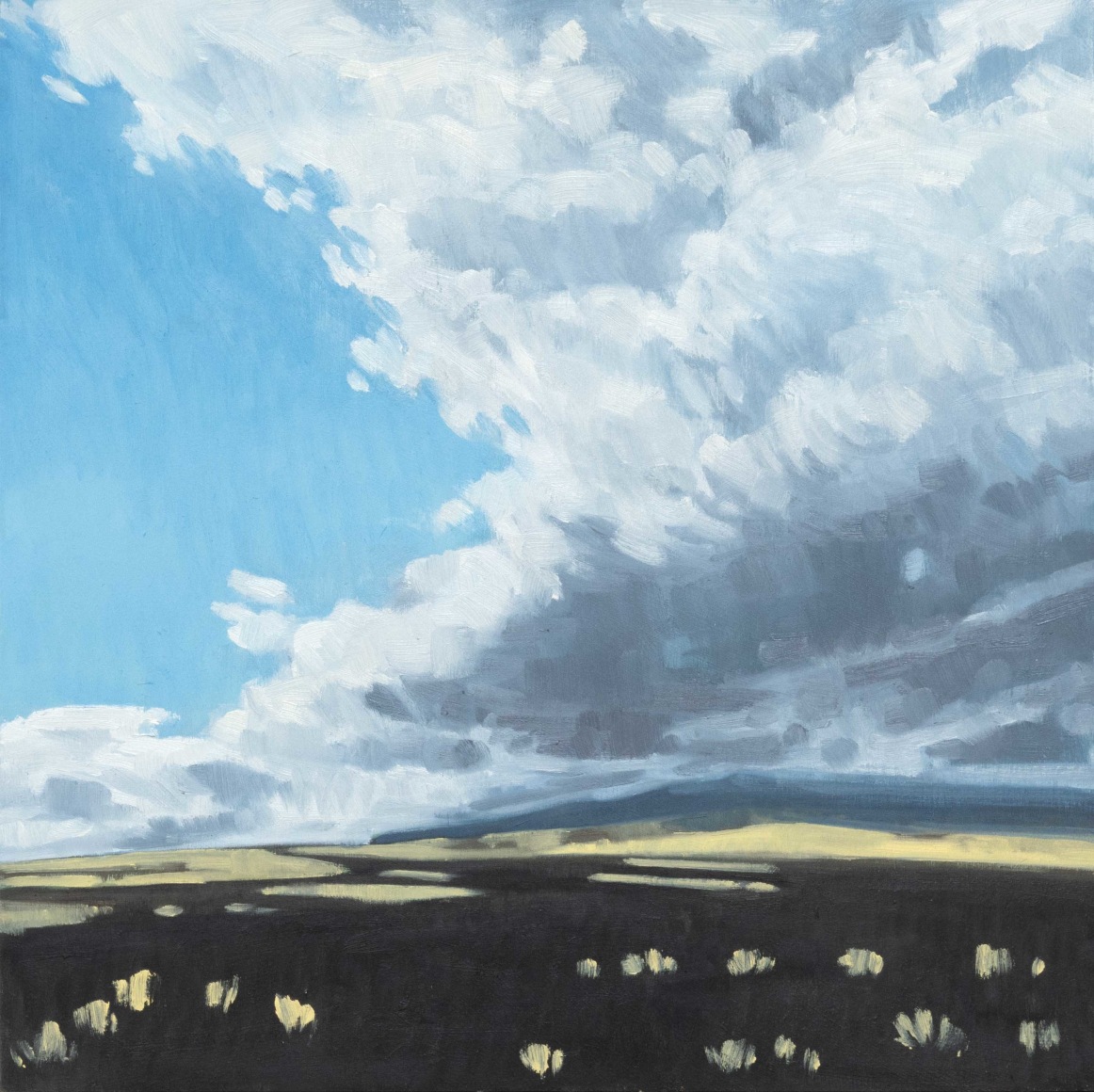 NICOLE STRASBURG , Big Sky, Big Island, 2023