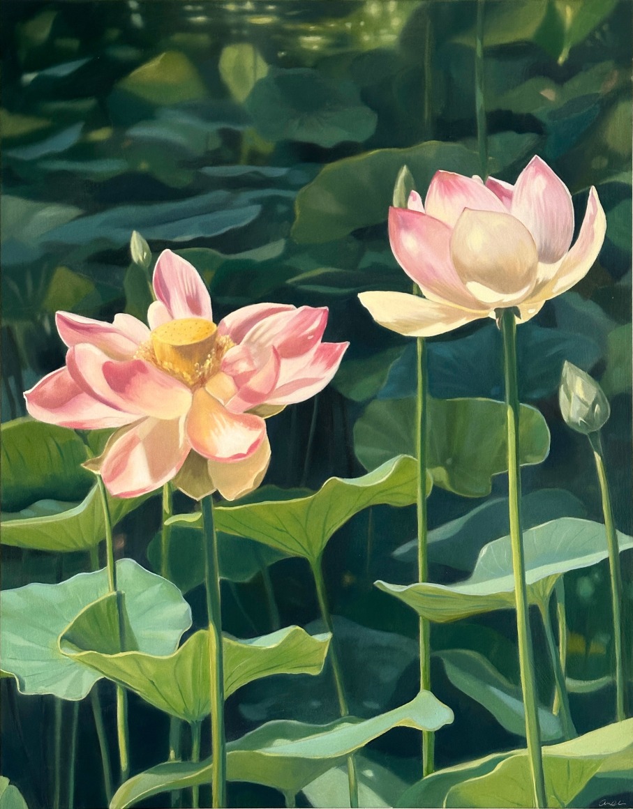 AMBER  O'NEILL , Water Garden, 2025