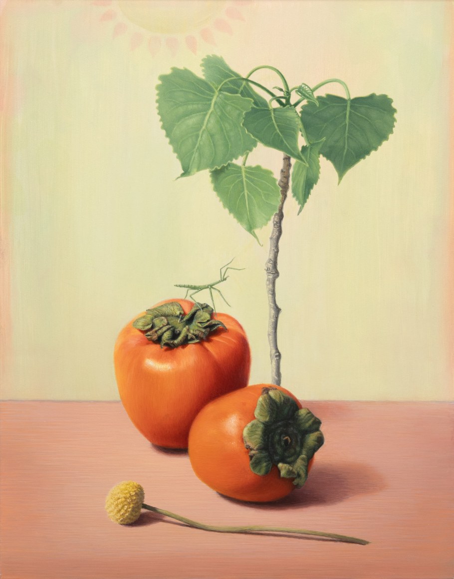 SUSAN MCDONNELL , Cottonwood and Persimmons, 2023