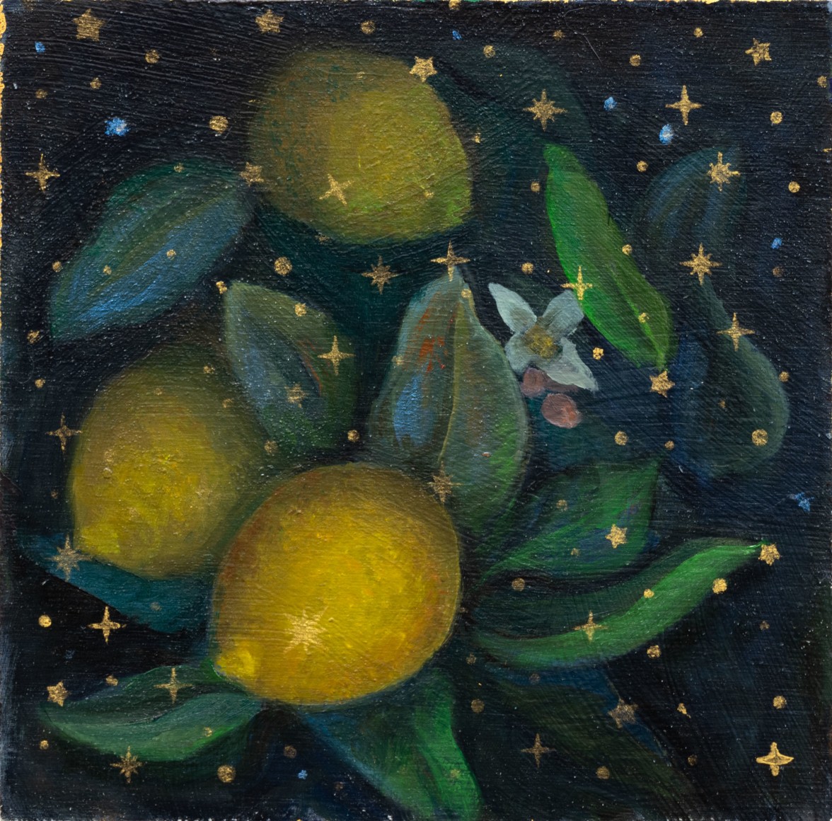 HOLLI HARMON , Apunte - Lemons, 2024