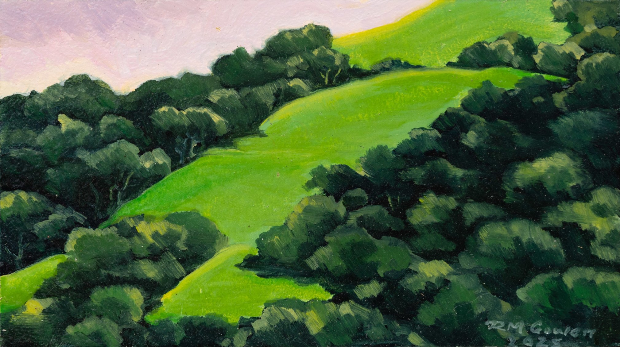 ROBIN GOWEN , High Fields, 2025