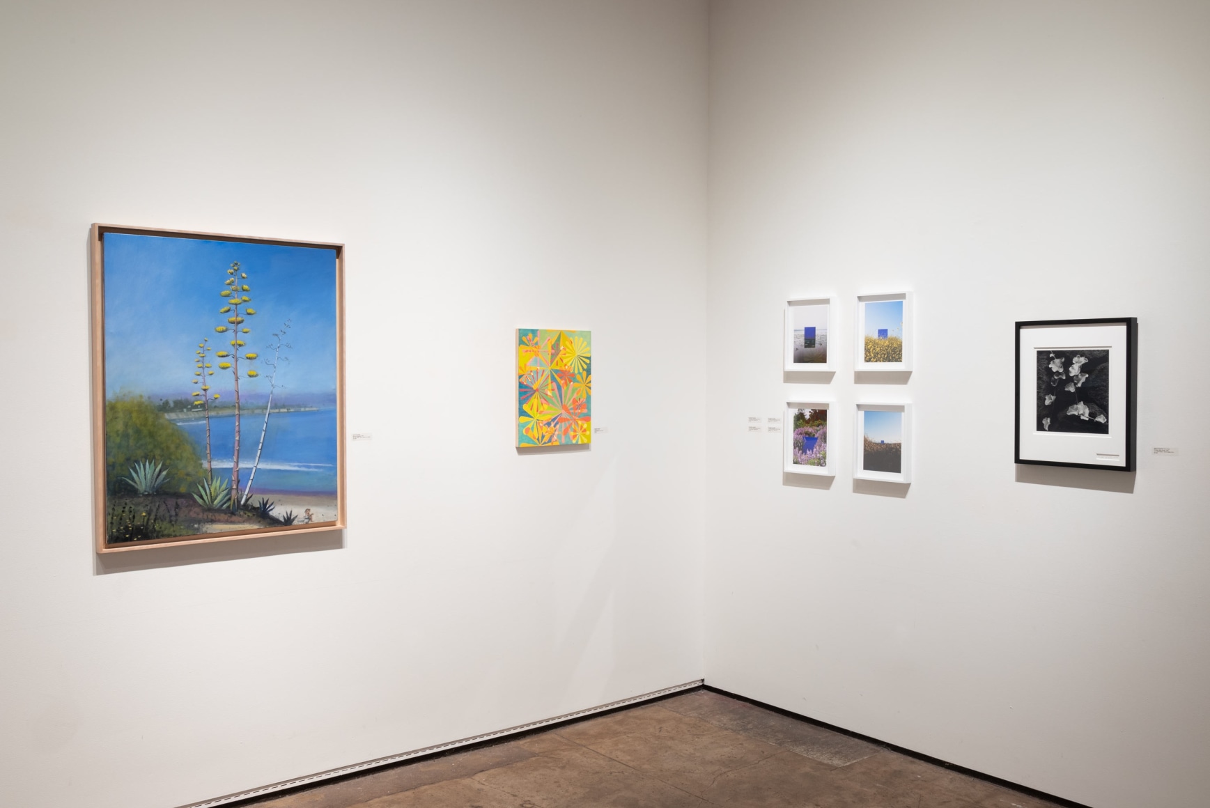 Installation photograph of IRRESISTIBLE: Flowers &amp; Their Admirers, Hank Pitcher, Bradley Greer, Blakeney Sanford, Brett Weston