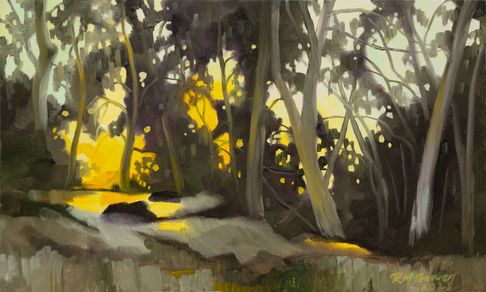 ROBIN GOWEN , Vieja Light, 2025