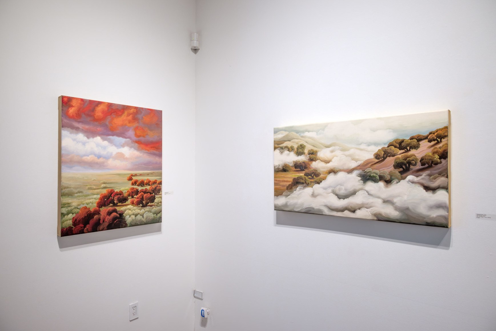 Phoebe Brunner, 2024 Exhibition Installation Photos