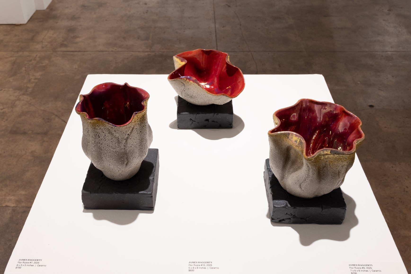 Installation photograph of IRRESISTIBLE: Flowers &amp; Their Admirers, James Haggerty