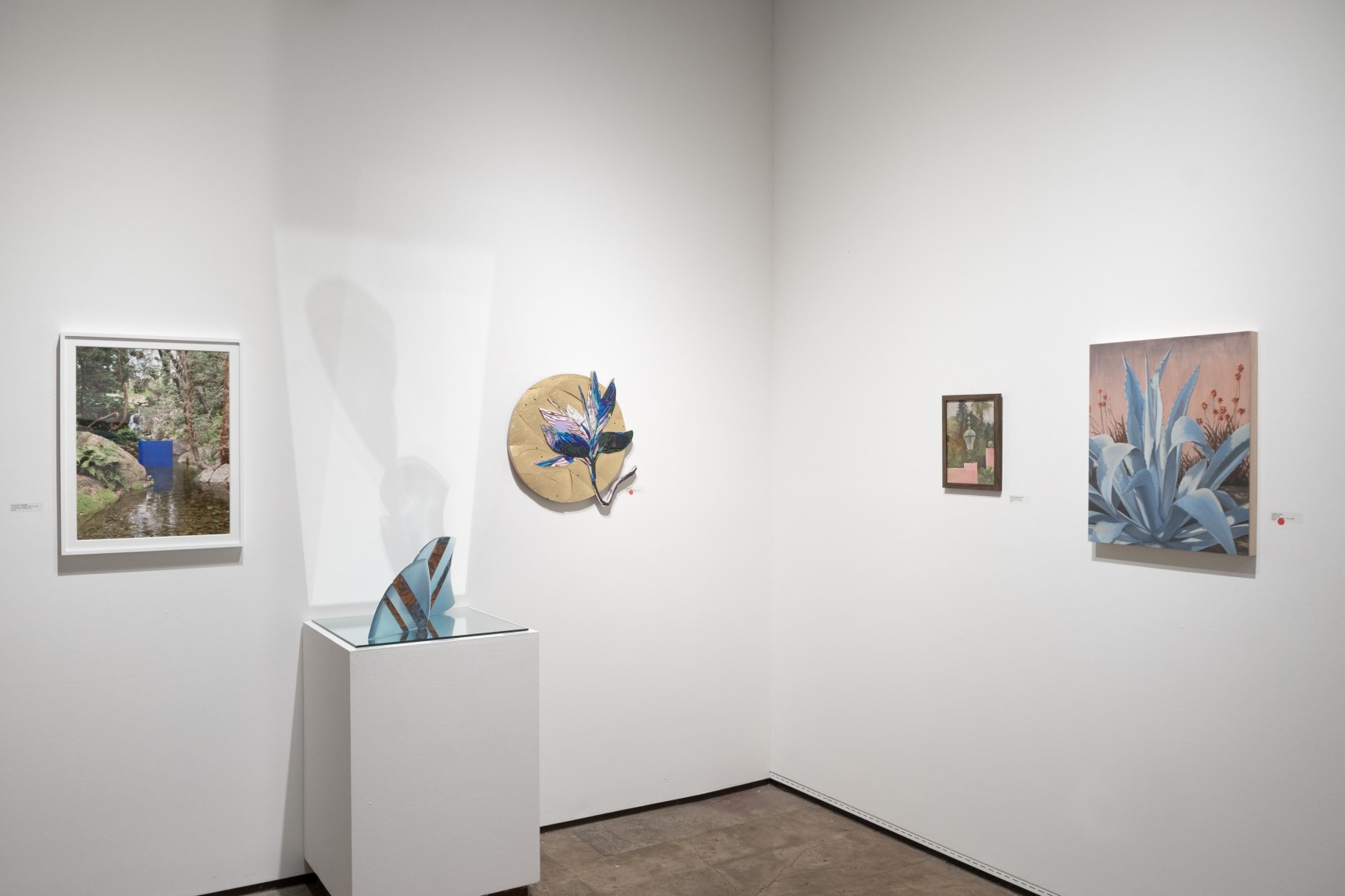 Lotusland x Sullivan Goss Installation photo, 2023