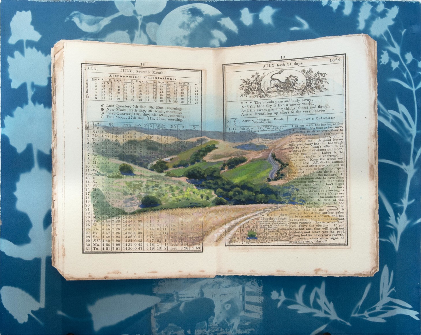 HOLLI HARMON , July hath 31 days, 2023