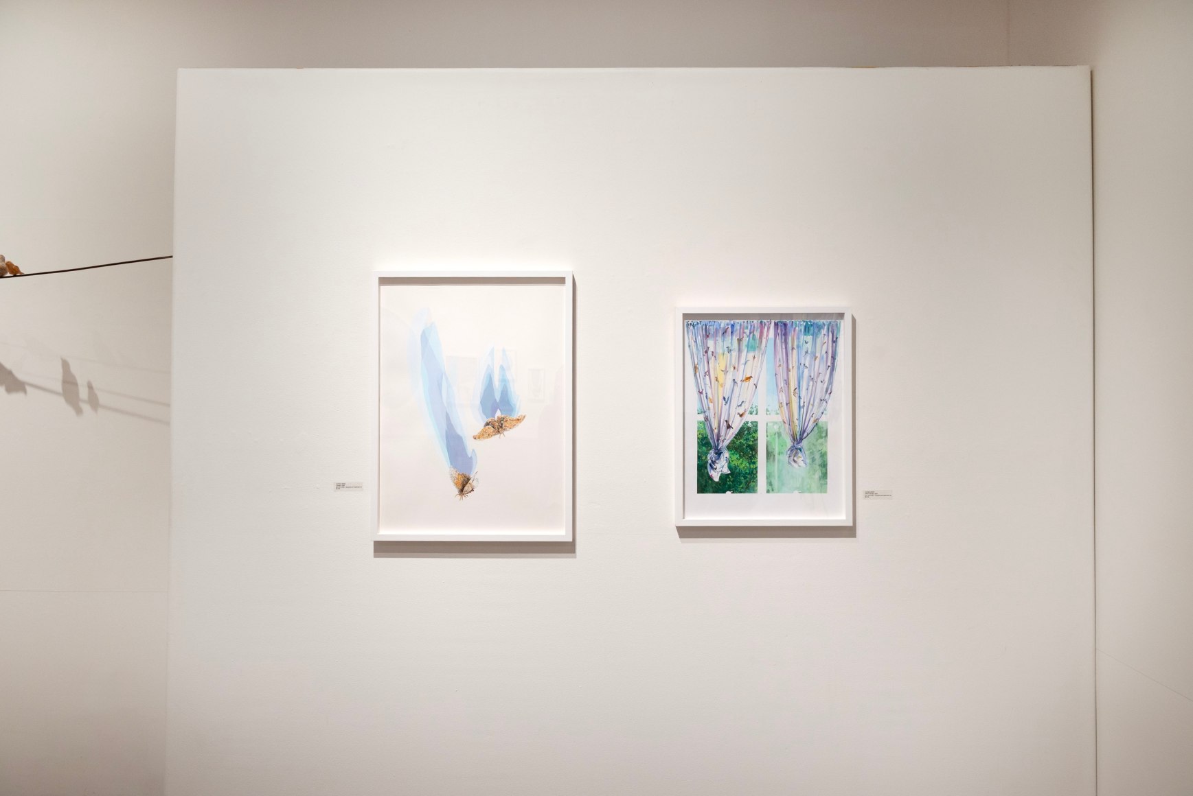 Nathan Huff: Within Wilds, 2025 Installation photo