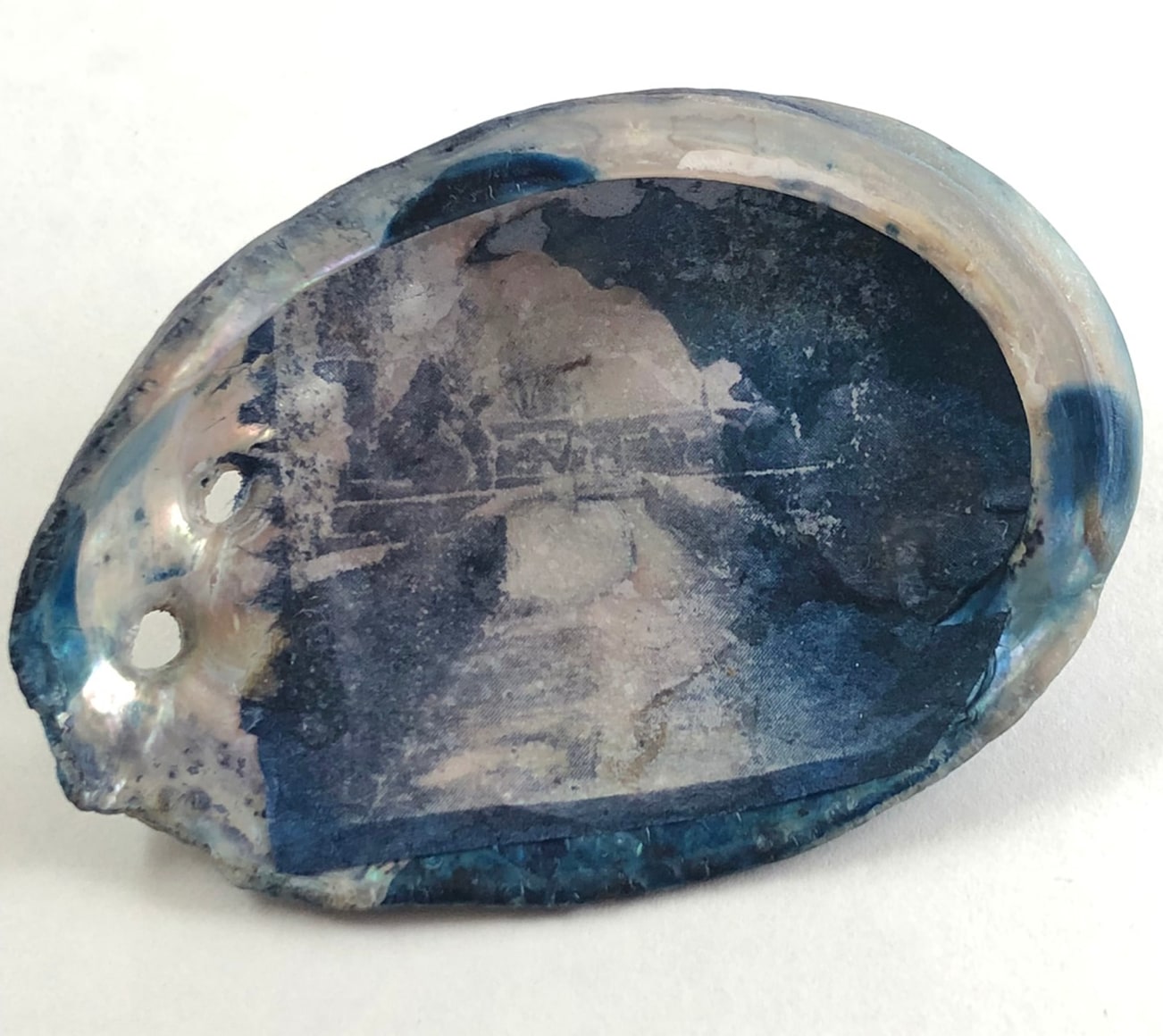 MONICA WIESBLOTT , Dreams of the Abalone, 2025