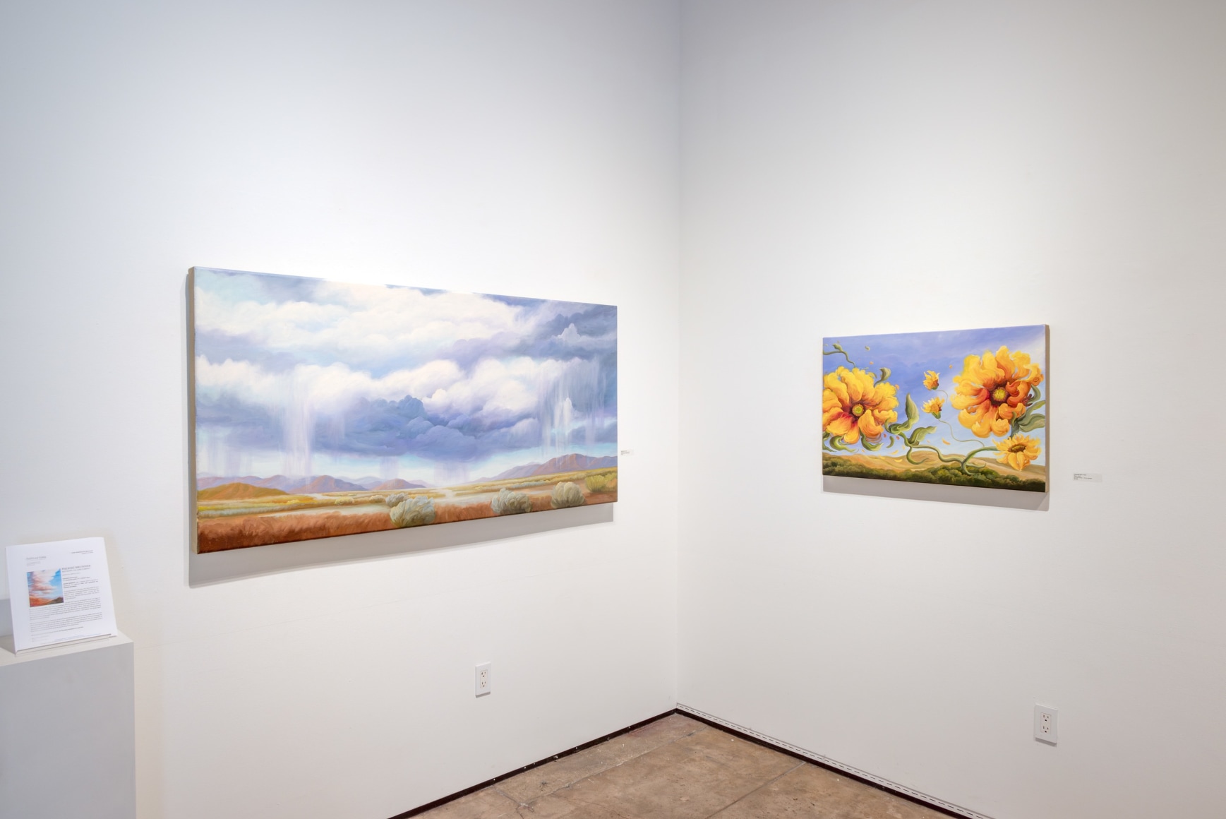 Phoebe Brunner, 2024 Exhibition Installation Photos