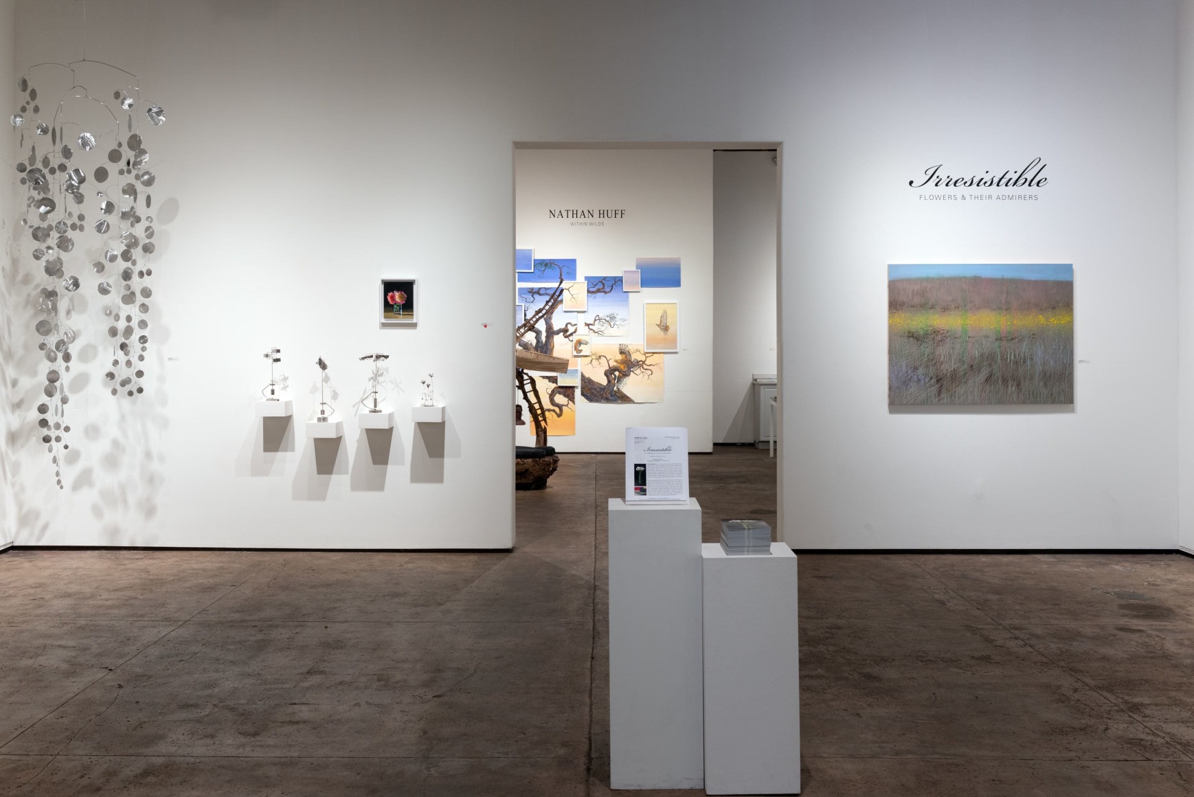 Installation photograph of IRRESISTIBLE: Flowers &amp; Their Admirers, Ken Bortolazzo, Hank Pitcher, Maria Rendon
