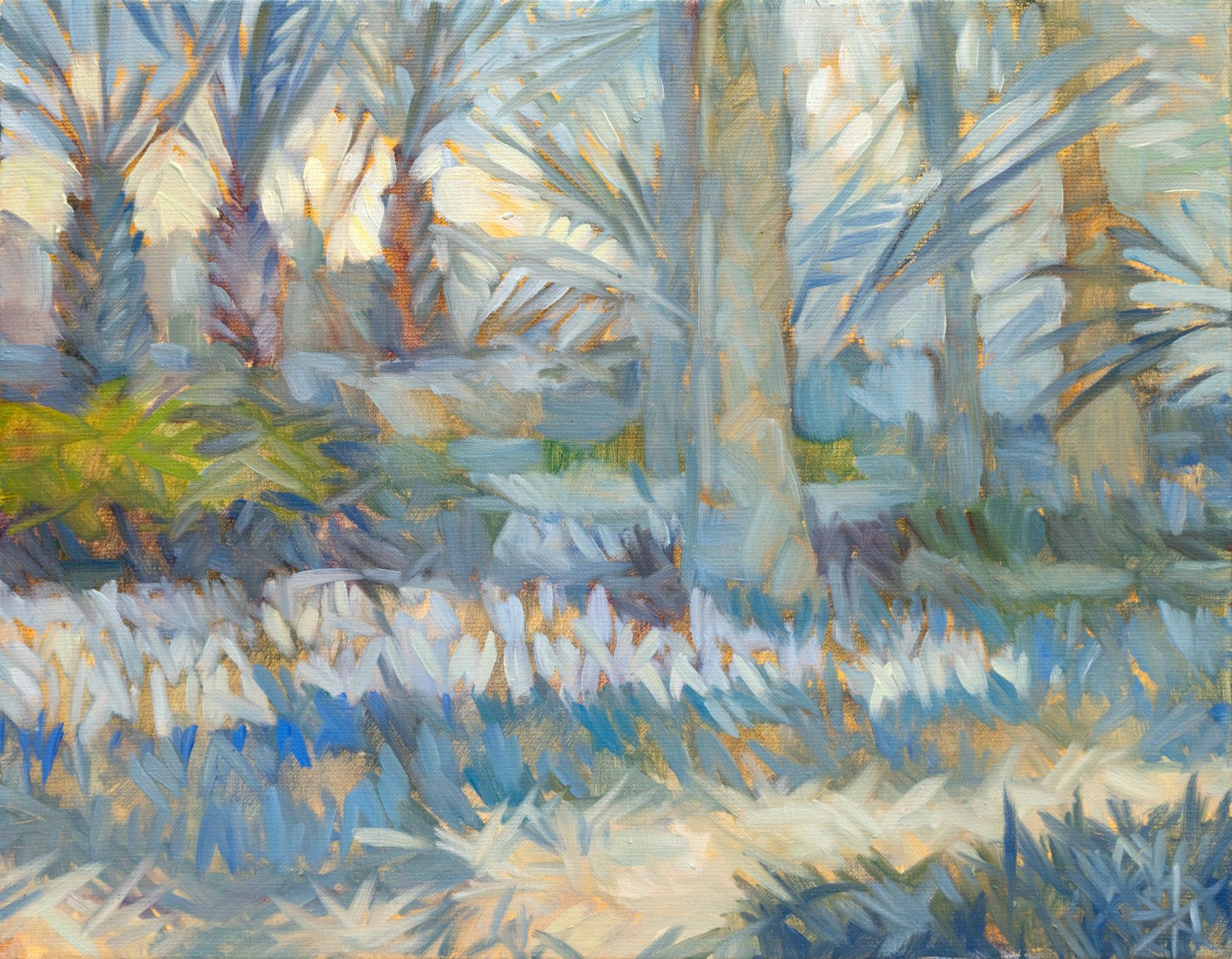 MEREDITH BROOKS ABBOTT , The Pollinator Garden, 2025