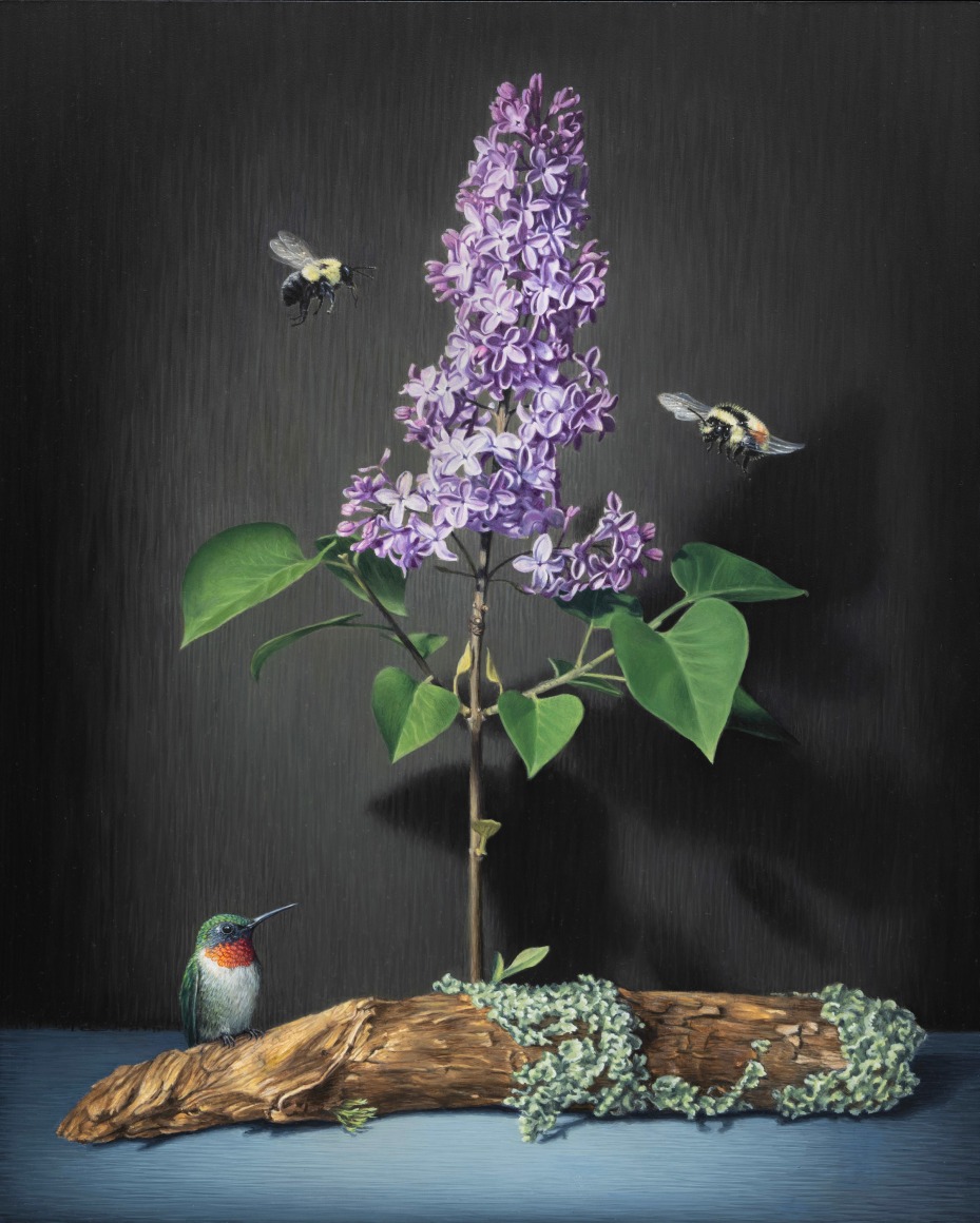 SUSAN McDONNELL , Lilac, 2025