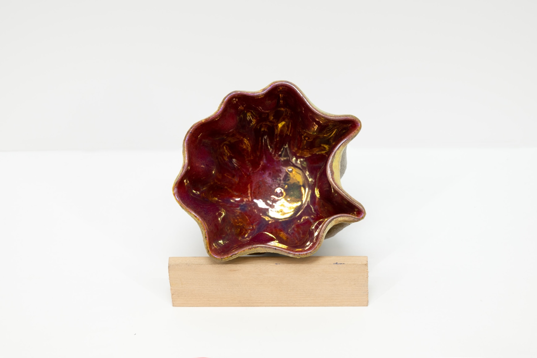 JAMES HAGGERTY, Flor Rubra #9, 2025