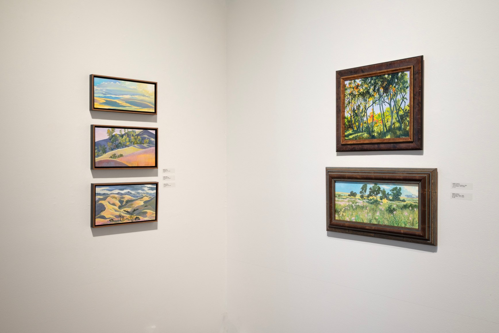 ROBIN GOWEN: A Wild Hush 2025 installation photo