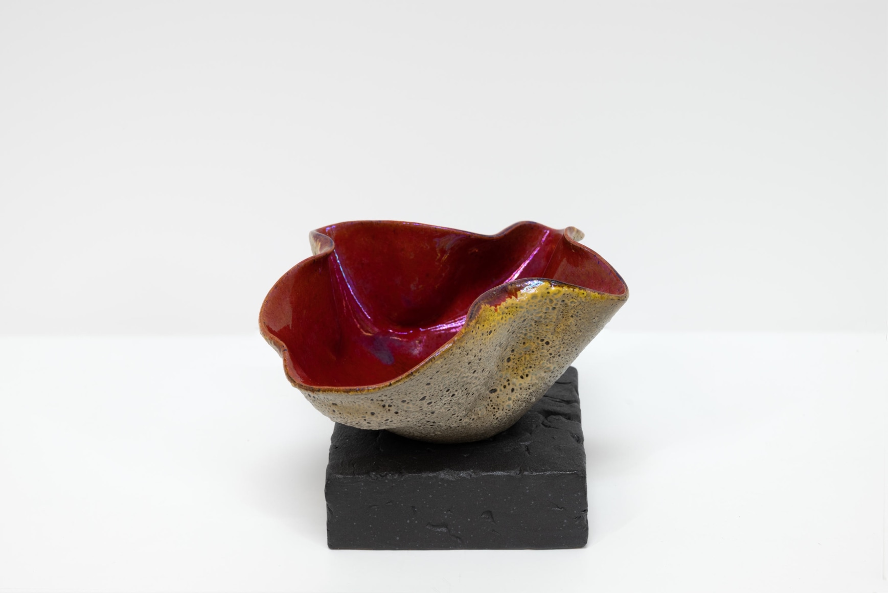 JAMES HAGGERTY, Flor Rubra #10, 2025