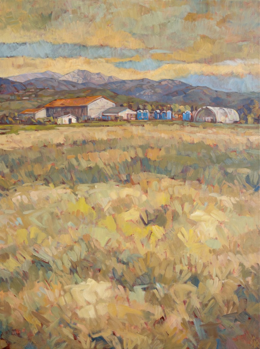 WHITNEY BROOKS ABBOTT , Cover Crop, 2023