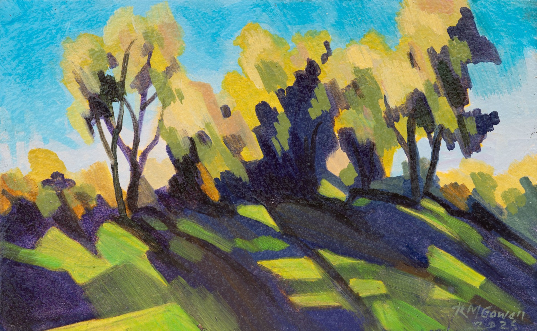 ROBIN GOWEN , Abstracted Shadows, 2025