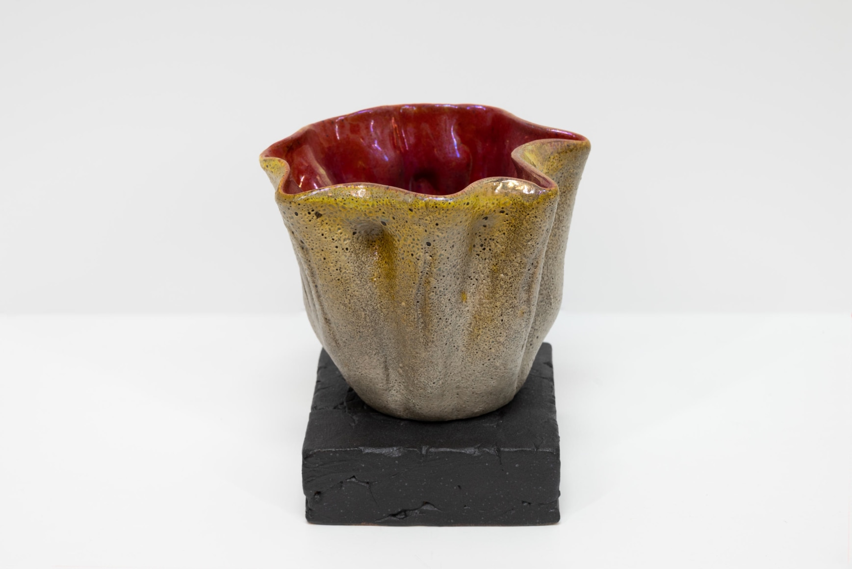 JAMES HAGGERTY, Flor Rubra #9, 2025