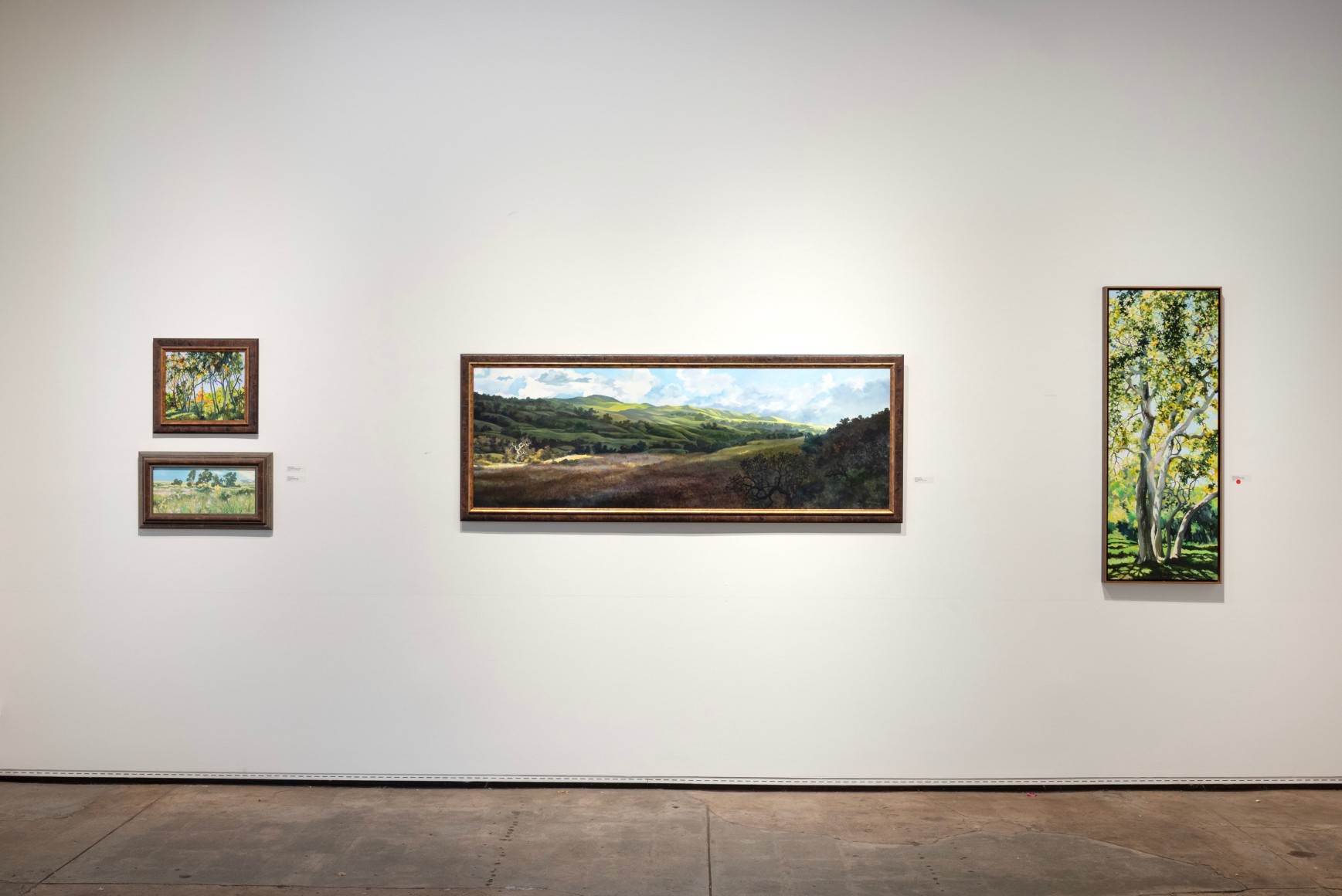 ROBIN GOWEN: A Wild Hush 2025 installation photo