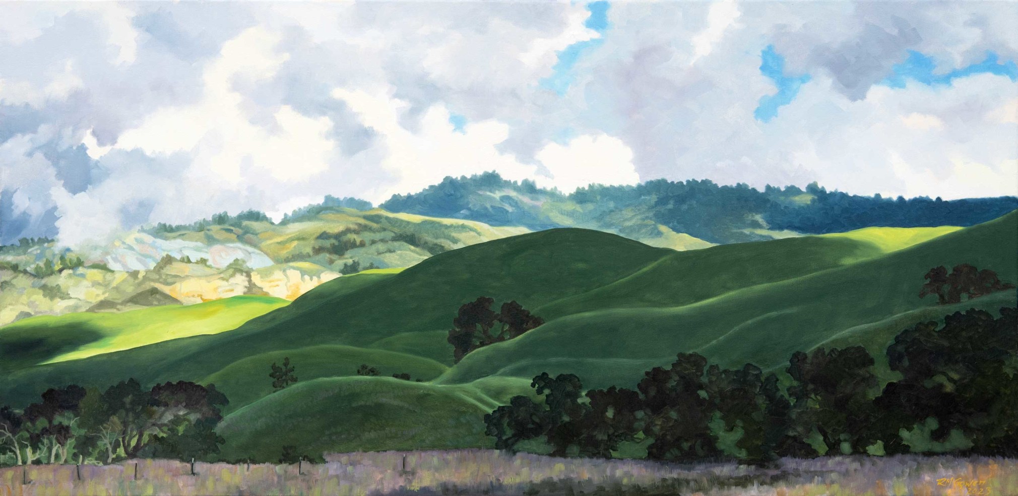 ROBIN GOWEN , Racing Shadows, 2023