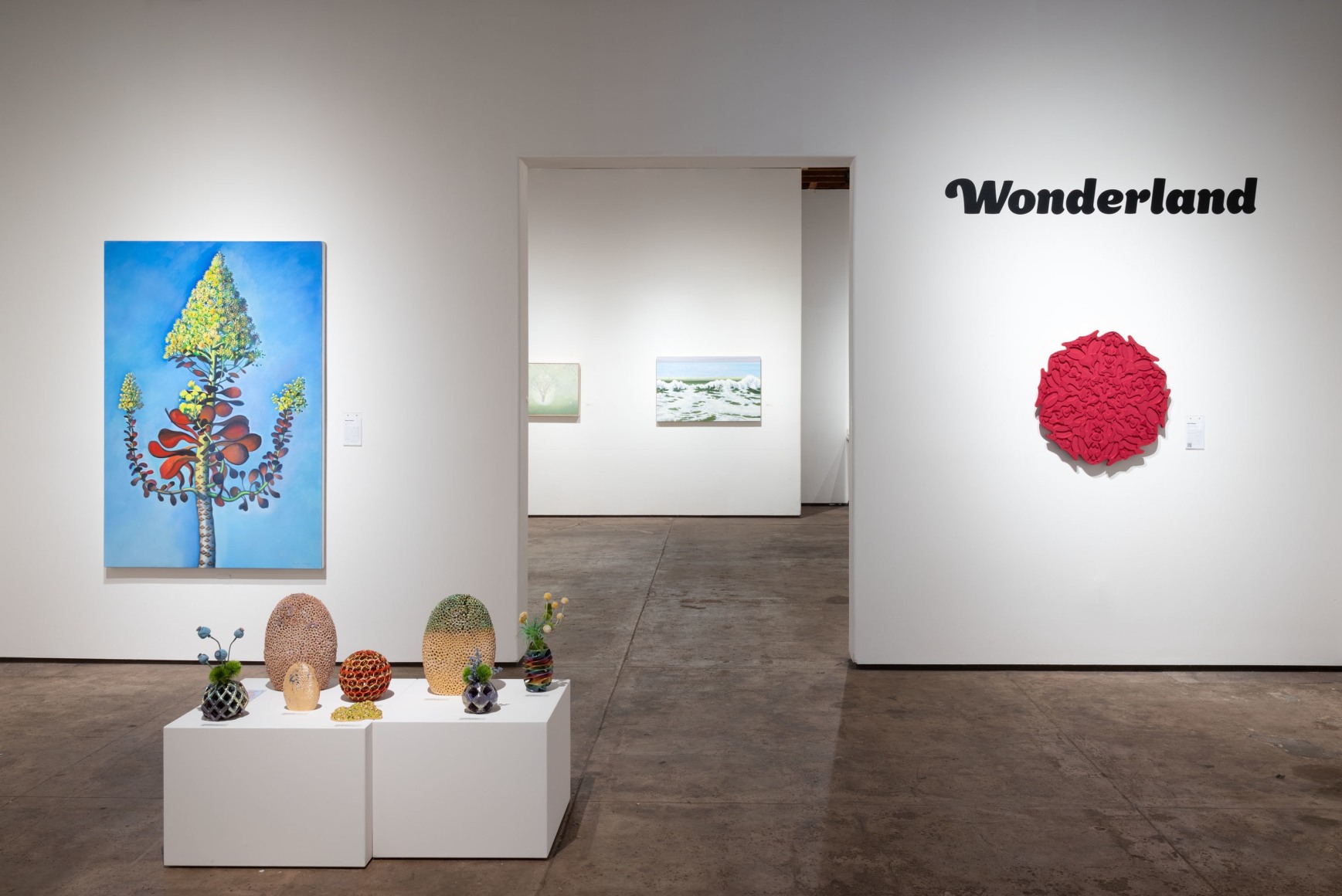 Wonderland 2024 Installation shot