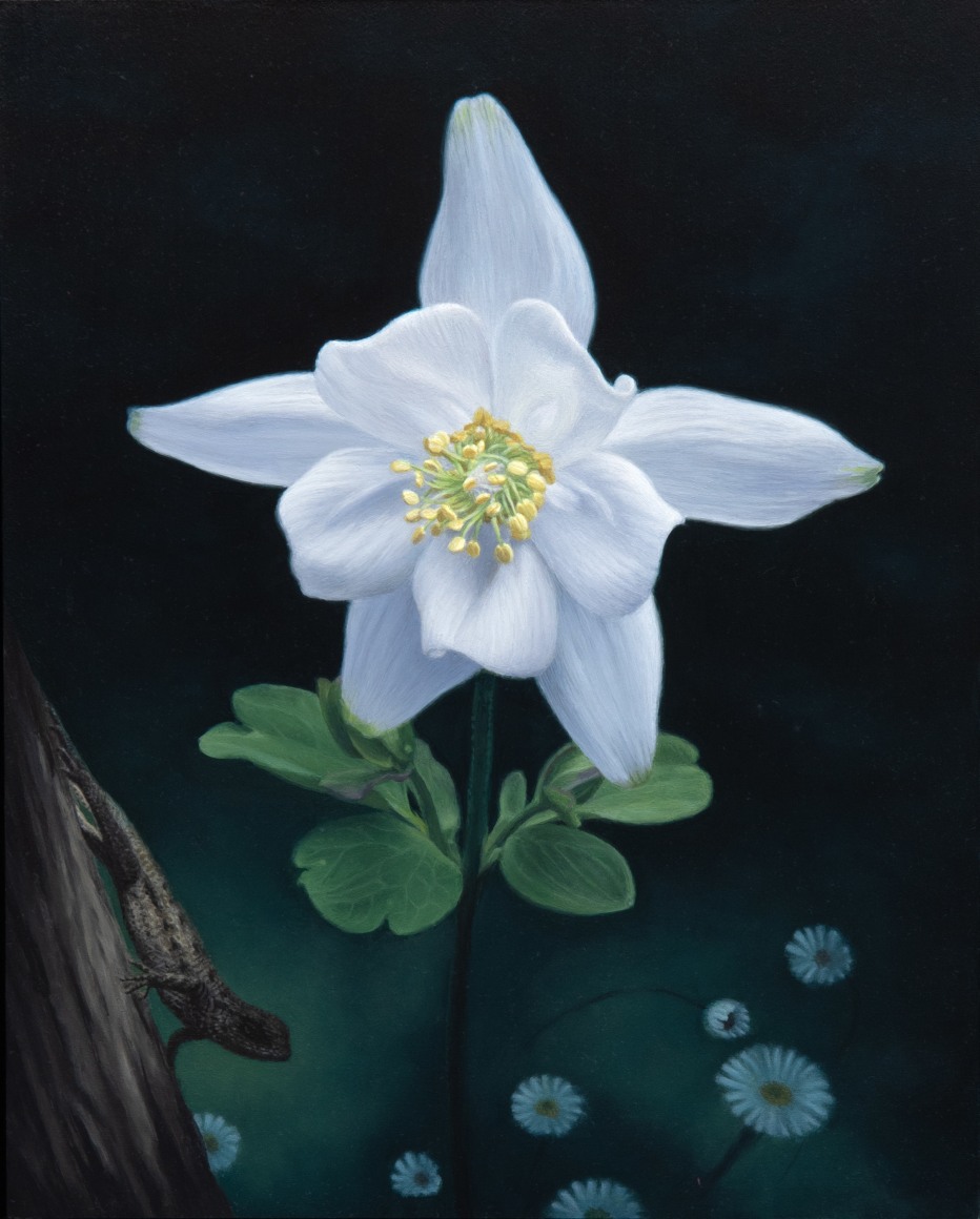 SUSAN MCDONNELL , Woodland Flower, 2023