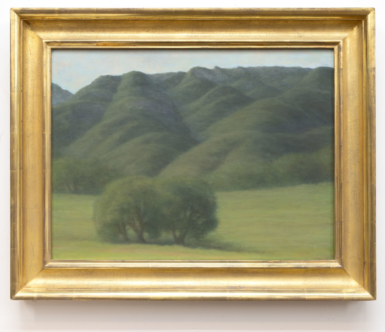 SARAH VEDDER , Folded Hills, 2016