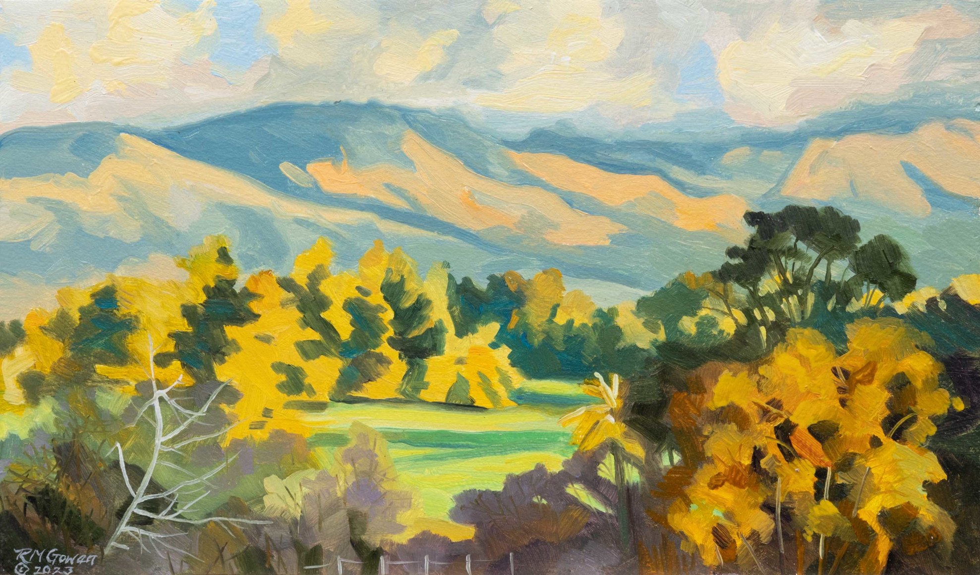 ROBIN GOWEN , Afternoon, 2023