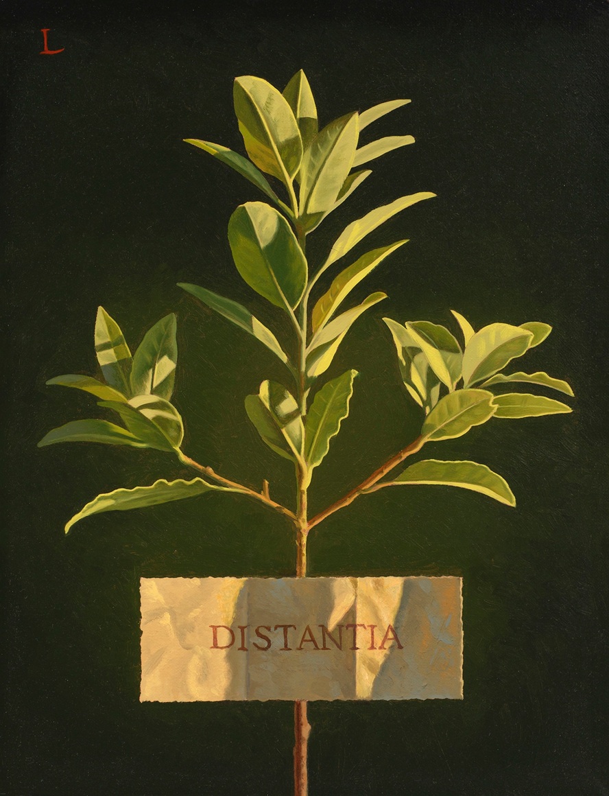 DAVID LIGARE , Distantia - Distance, 2001
