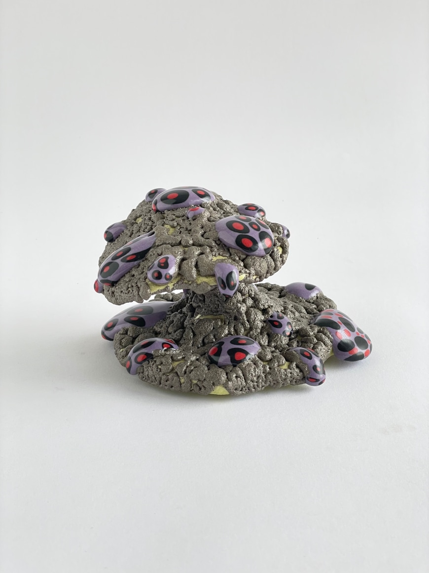 PHILIP KUPFERSCHMIDT , Pumice/Purple Mushroom, 2024
