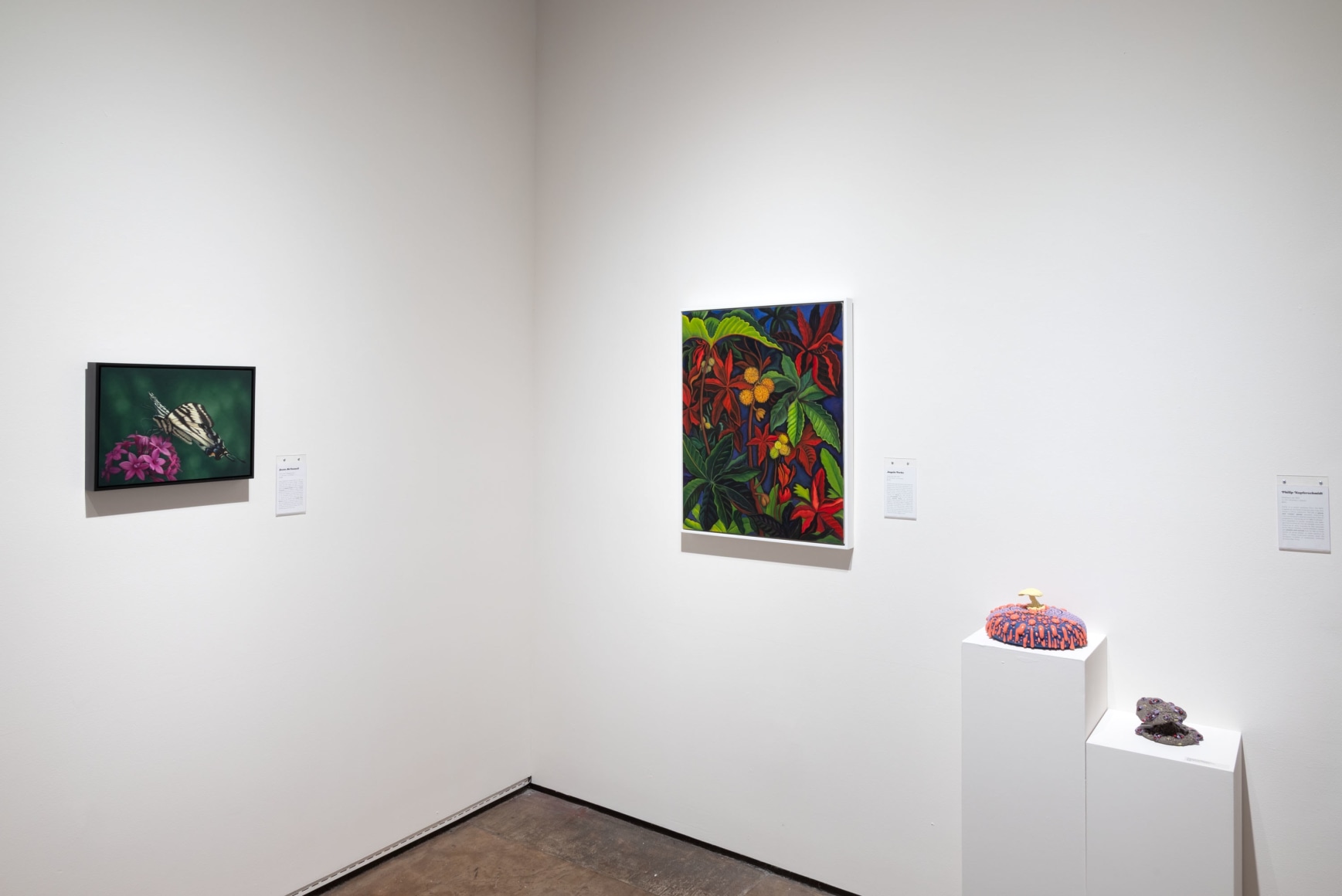 Wonderland 2024 Installation shot