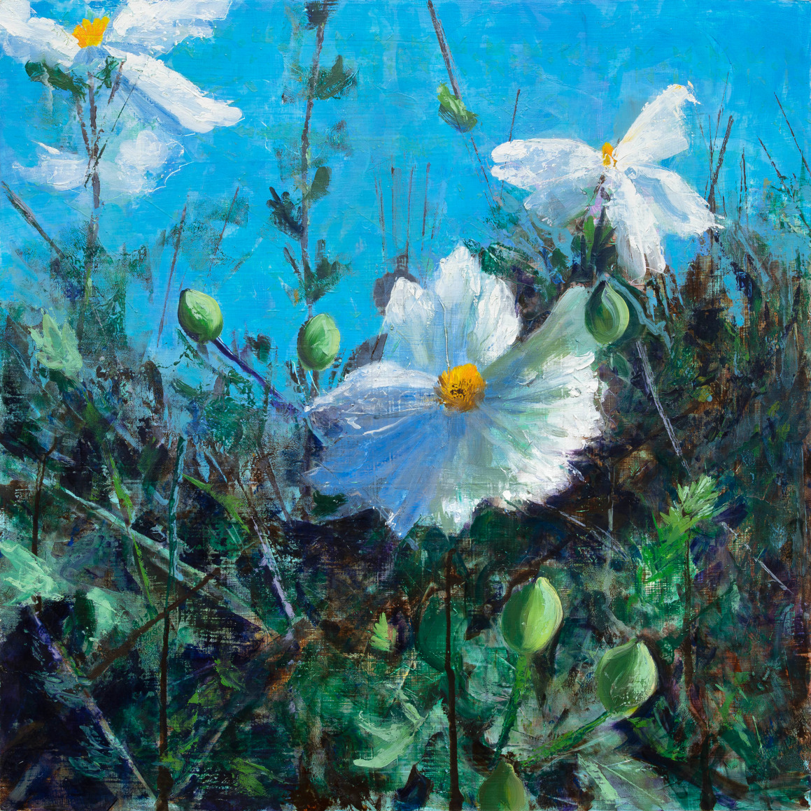 HOLLI  HARMON , Matilija Poppies, 2025