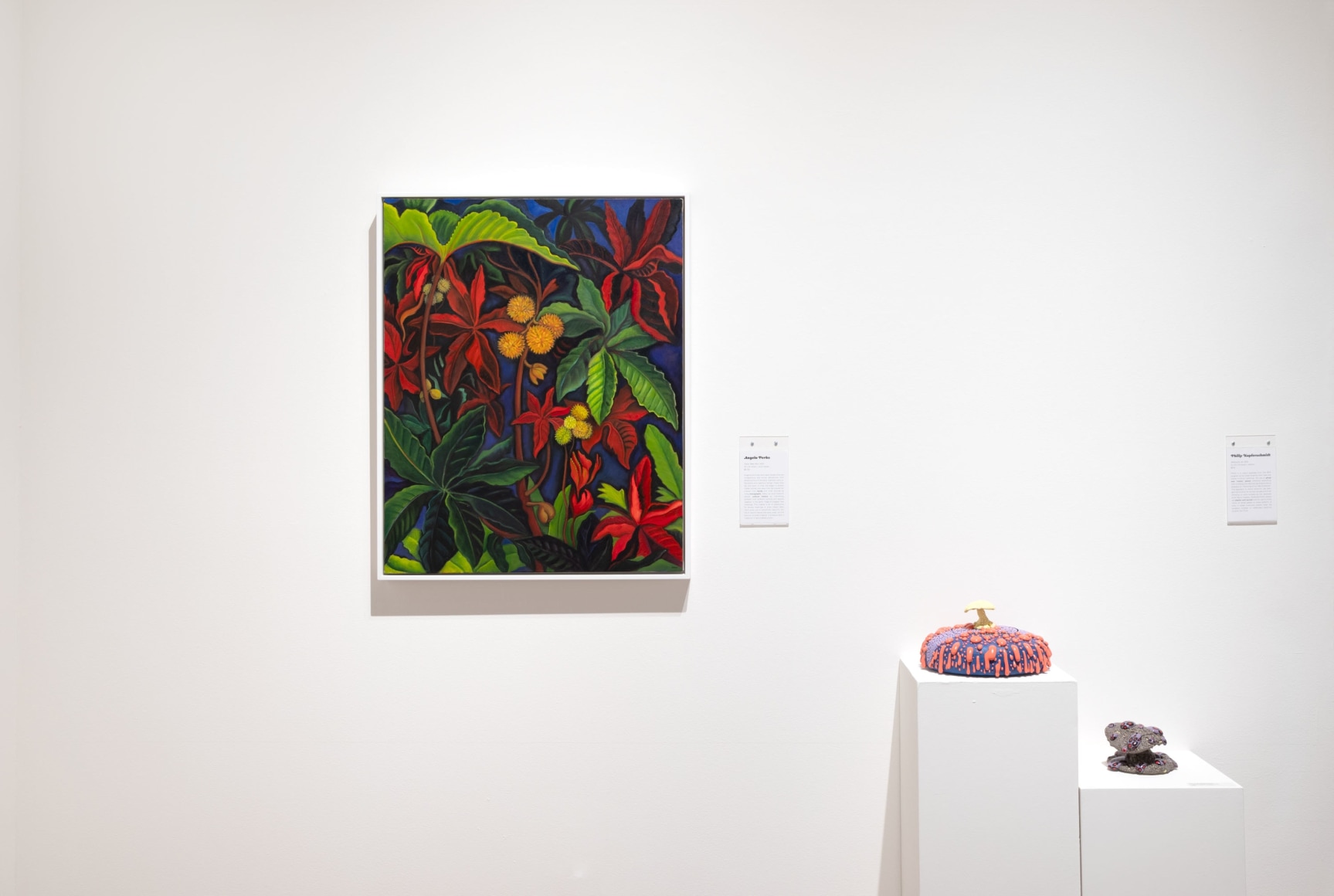 Wonderland 2024 Installation shot