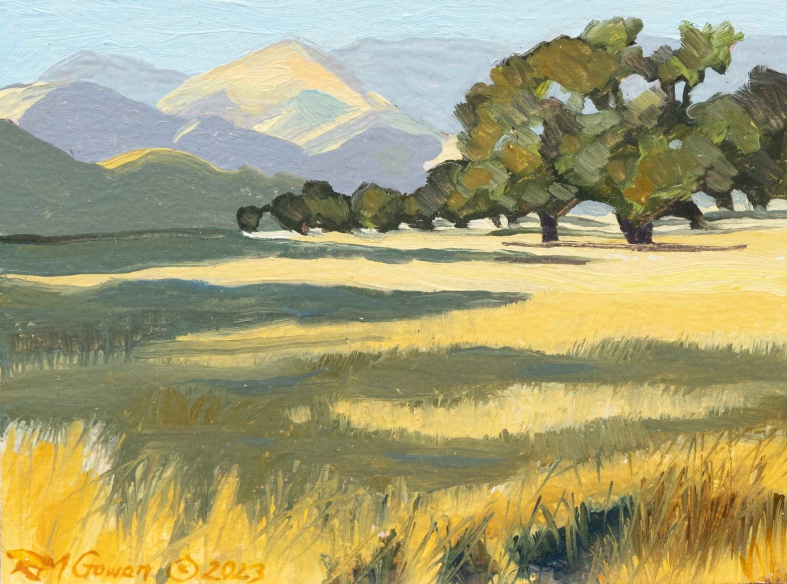 ROBIN GOWEN , A Glance at Evening (Grass Mountain), 2022