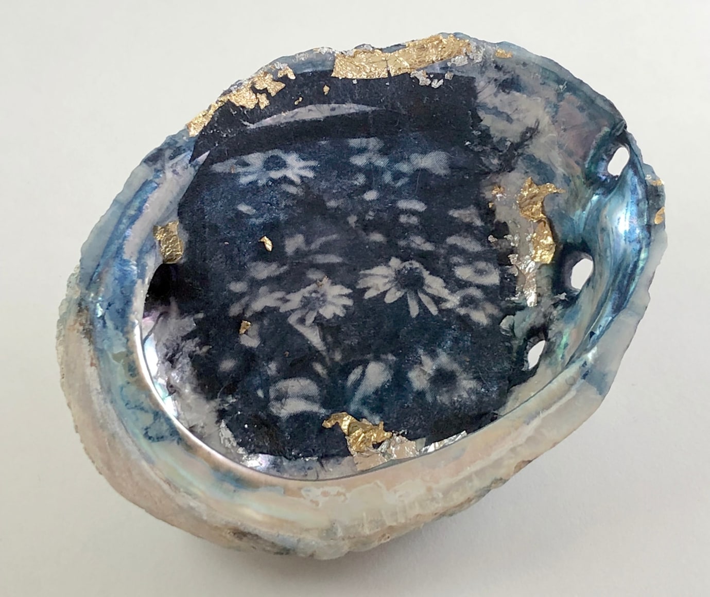 MONICA WIESBLOTT , Dreams of the Abalone, 2025