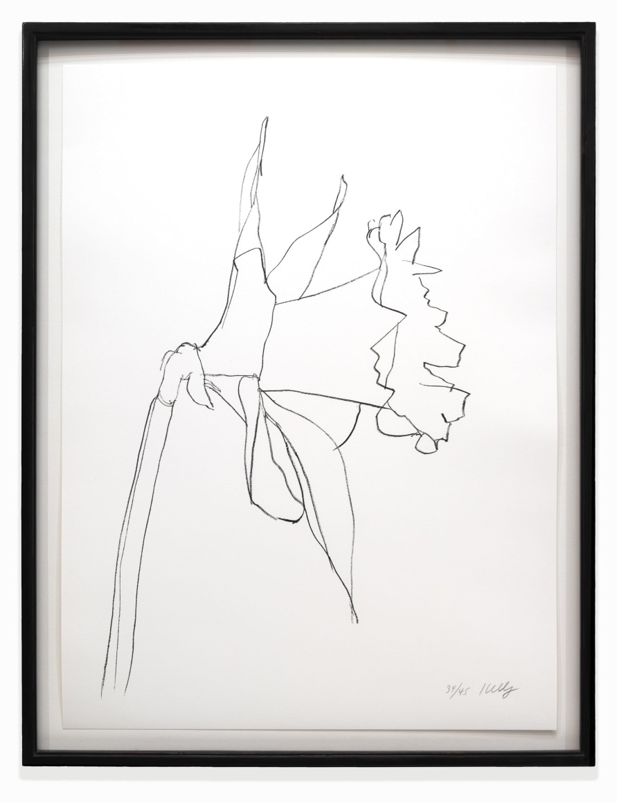 ELLSWORTH KELLY (1923-2015), Daffodil, 2004