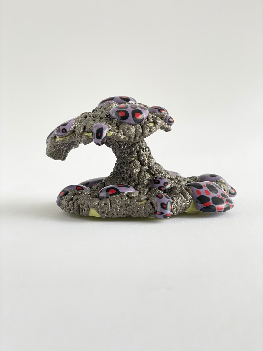 PHILIP KUPFERSCHMIDT , Pumice/Purple Mushroom, 2024