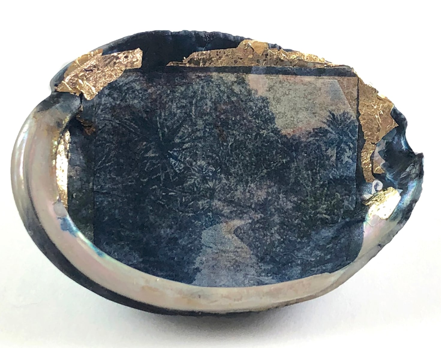 MONICA WIESBLOTT , Dreams of the Abalone, 2025